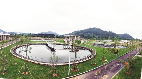 1561096605512347.jpg 1.jpg